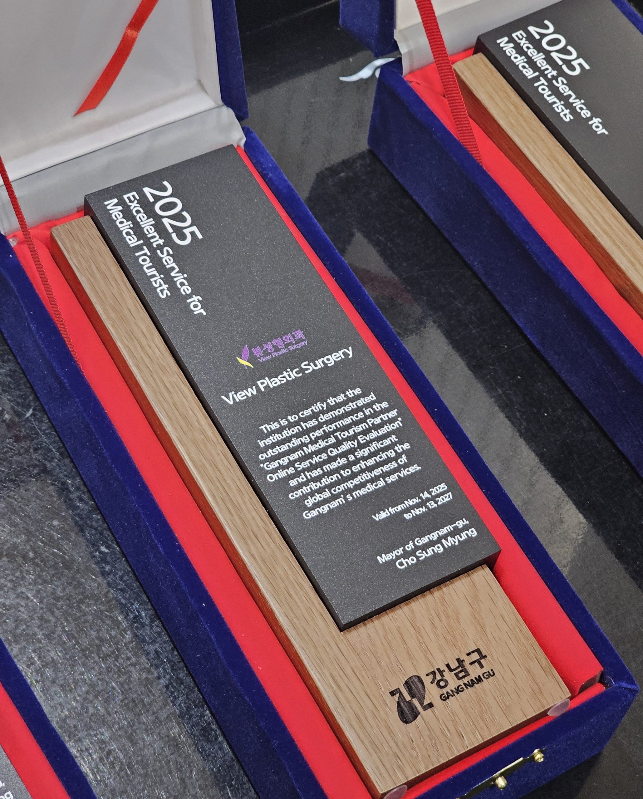 Gangnam Medical Tourism Award: View Plastic Surgery Recognized as Excellent Service Provider